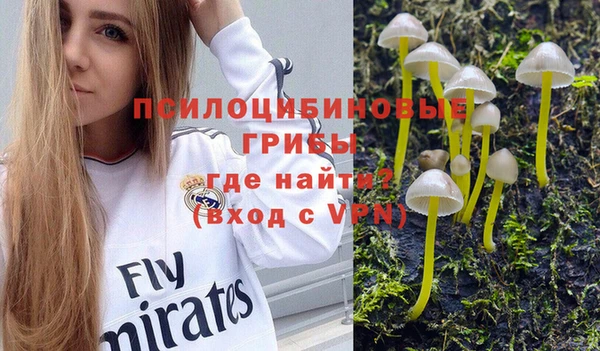 мдпв Абдулино
